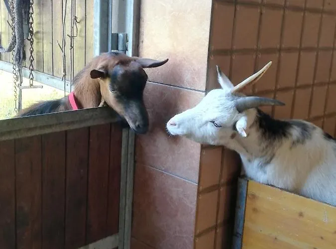 Hauser Reinhilde Apartment