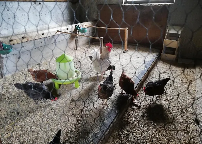 Apartment Hauser Reinhilde *