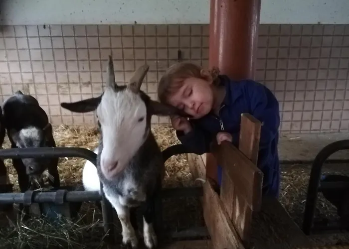 Hauser Reinhilde Apartment