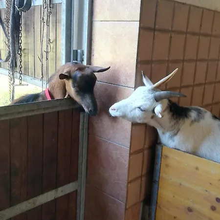 Hauser Reinhilde Appartement