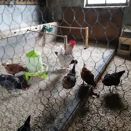 Appartement Hauser Reinhilde *