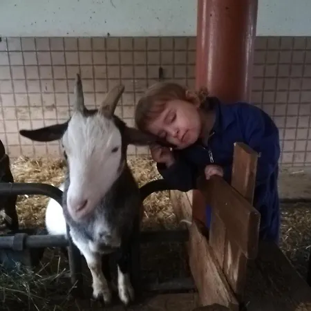 Hauser Reinhilde Appartement